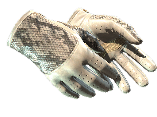 ★ Driver Gloves | King Snake (Minimal Wear) Thumbnail