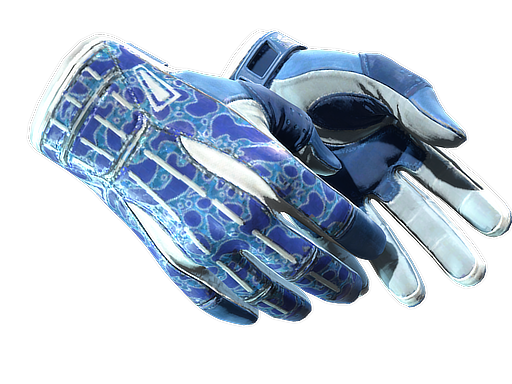 ★ Sport Gloves | Amphibious (Minimal Wear) Thumbnail