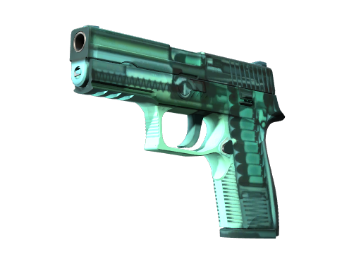 P250 | X-Ray (Minimal Wear) Thumbnail
