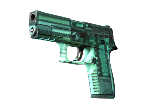 P250 | X-Ray (Field-Tested) Thumbnail