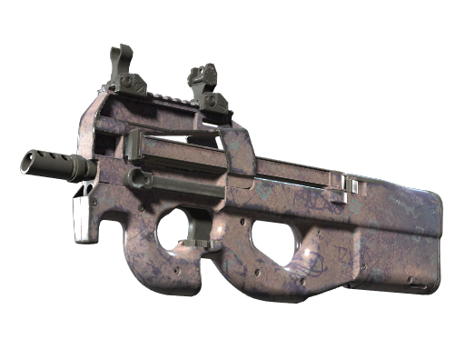 P90 | Wash me (Well-Worn) Thumbnail