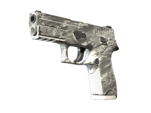P250 | Sleet (Field-Tested) Thumbnail